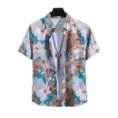 Camisa Haibi Graffiti C72 Cinza Escuroicon Tick Bold
