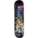 Shape OWL Street Pandora 7.8"