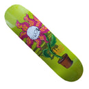 Shape Milk Ratones Flower 7.75