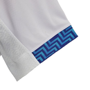 Camisa Paysandu 2023/24 Treino