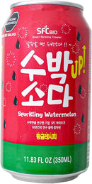Refrigerante Sparkling Melancia Watermelon Soda 355ml