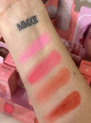 Blush vs Eyeshadow Stick Pó Esponja 2 em 1 Bobbi Rara