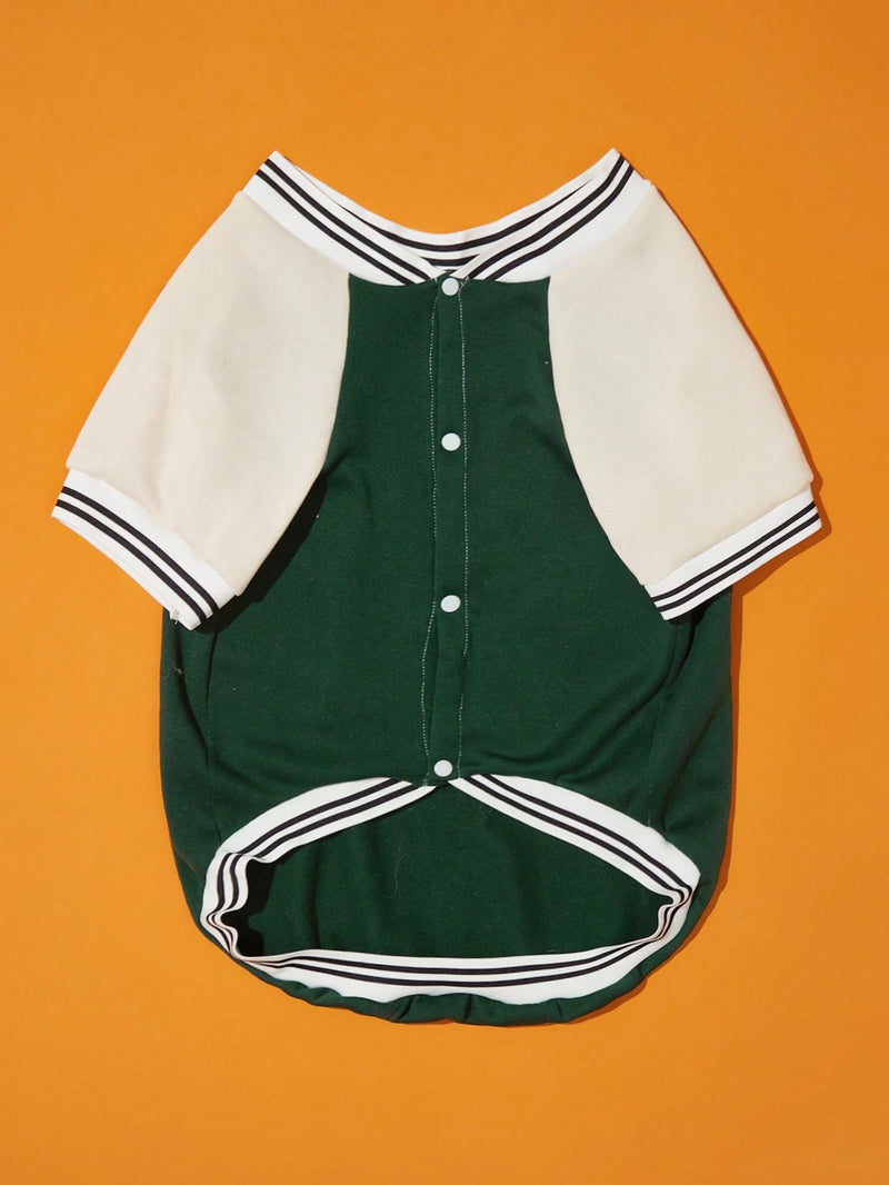 Jaqueta Dog Baseball Brooklyn Verde