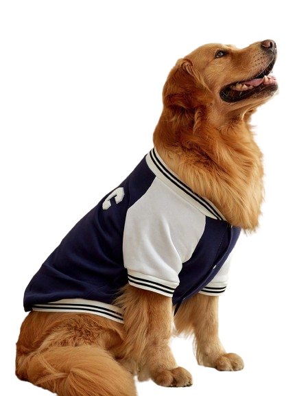 Jaqueta Dog Baseball Cardigans Azul