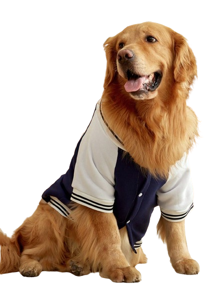 Jaqueta Dog Baseball Cardigans Azul