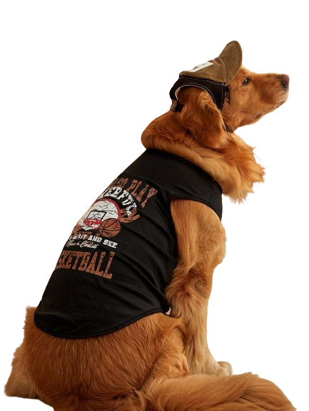 Regata Pet Basquete Powerful Preto