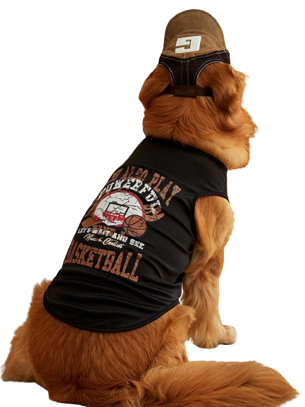Regata Pet Basquete Powerful Preto