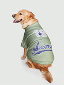 Jaqueta C/ Zíper Pet America 19 Baseball