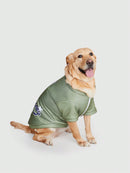 Jaqueta C/ Zíper Pet America 19 Baseball