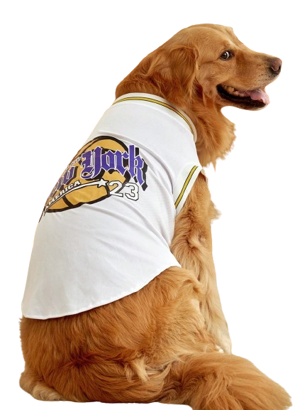 Regata Pet Basquete New York 23 Branco