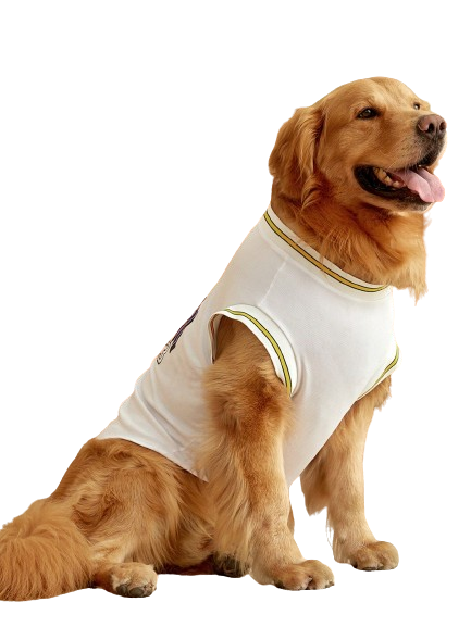 Regata Pet Basquete New York 23 Branco
