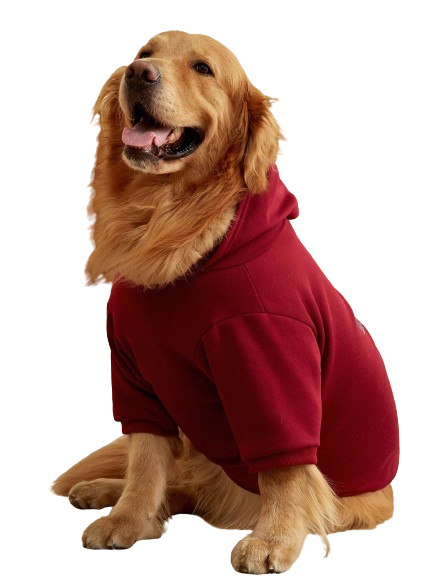 Jaqueta Dog New Vork 1900 C/ Capuz - Vinho